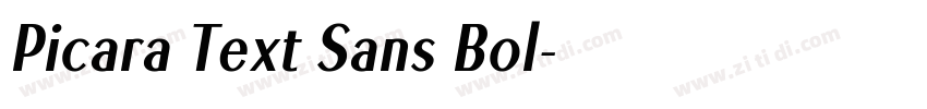 Picara Text Sans Bol字体转换